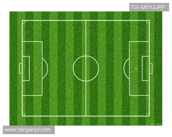 足球场技术最顶尖球星的全面解析与比较